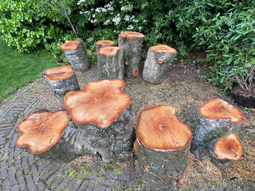 haardhout blokken berk  (10) voor haardhout of decoratie, Minder dan 3 m³, Ophalen of Verzenden, Berkenhout, Stammen