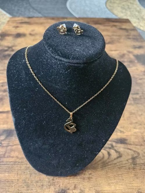 Zwanen ketting Met oorbellen van roestvrij staal h3, Overige materialen, Onbekend, Nieuw, Ophalen of Verzenden