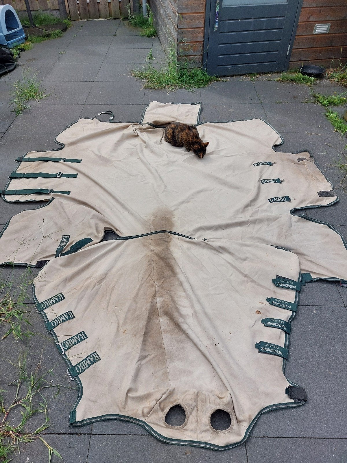 Rambo sweetitch hoody XL maat 140/191, Dieren en Toebehoren, Paarden en Pony's | Dekens en Dekjes, Meerkleurig, Gebruikt, 0 g