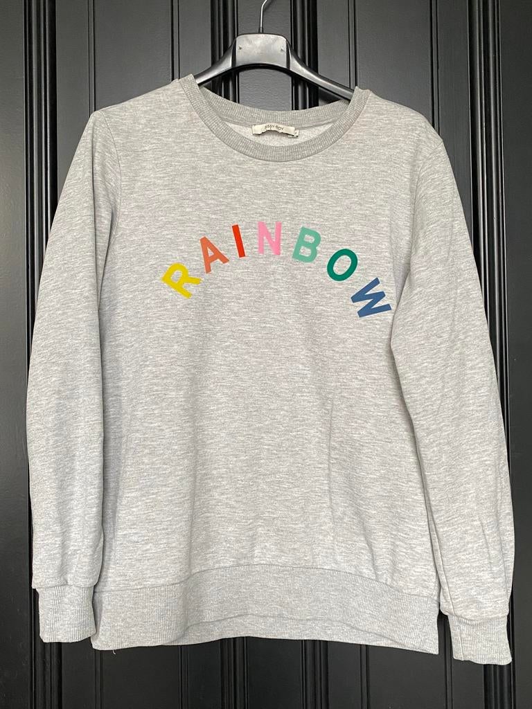 Sissy Boy grijze sweatshirt grafische “Rainbow” print, Ophalen of Verzenden, Zo goed als nieuw, Maat 36 (S), Grijs