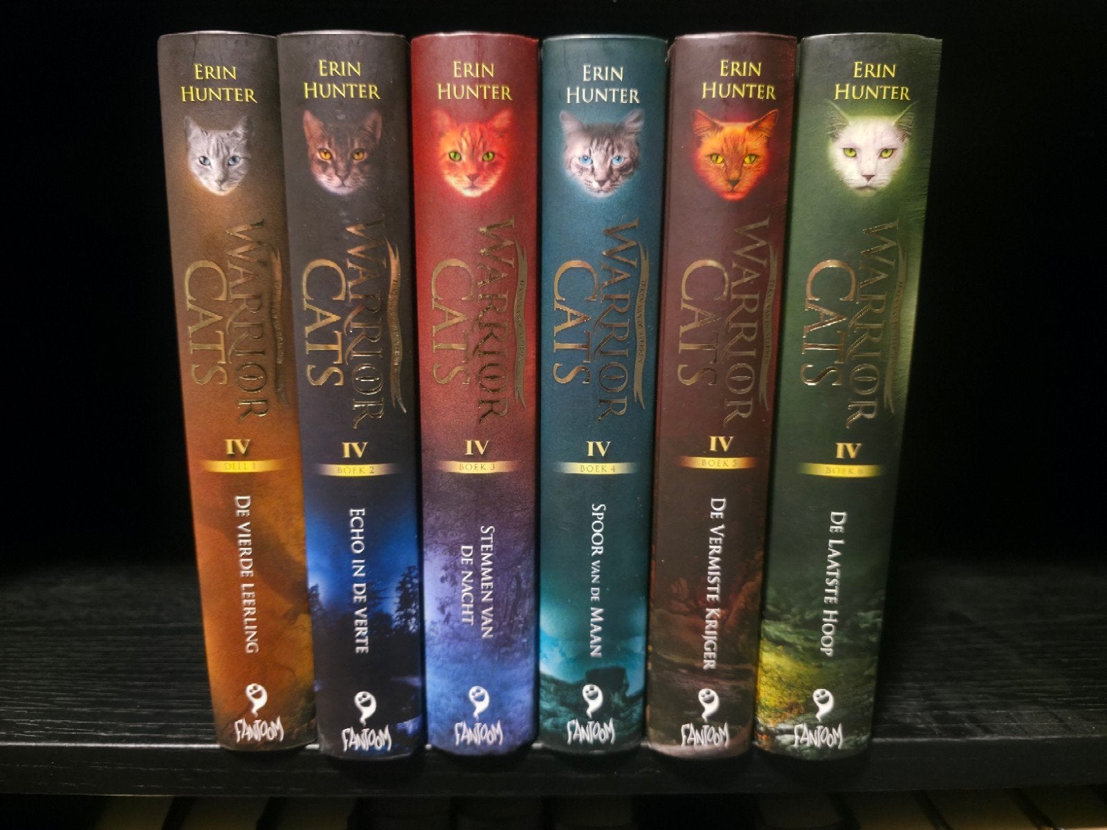 Warrior Cats serie 4 boek 1 t/m 6, Boeken, Ophalen, Zo goed als nieuw