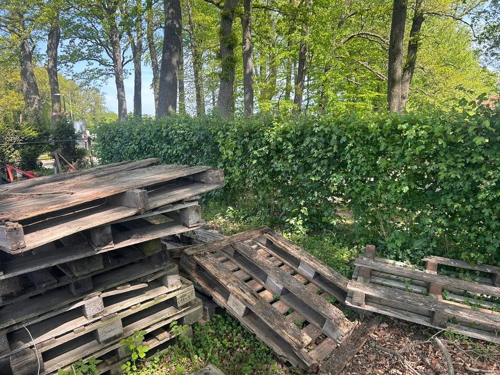 Brandhout (gratis), Minder dan 25 mm, Ophalen of Verzenden, Zo goed als nieuw, Pallet