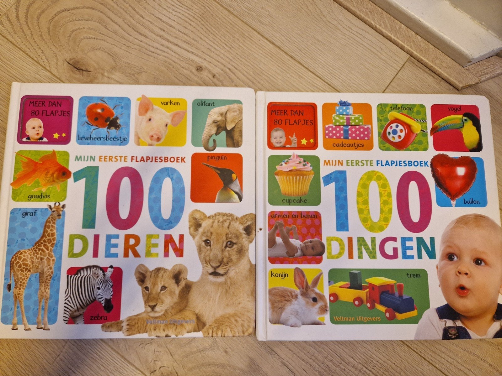 Mijn Eerste Flapjesboek: 100 Dieren & 100 Dingen, Boeken, Ophalen, Zo goed als nieuw, Uitklap-, Voel- of Ontdekboek, 1 tot 2 jaar