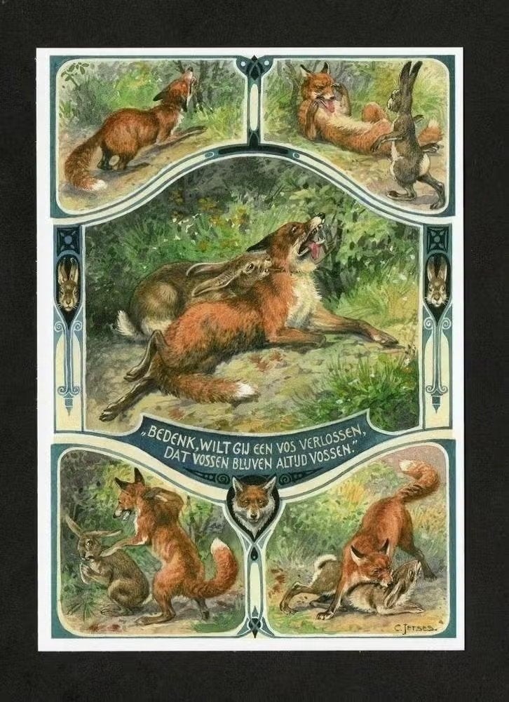 Vos Haas door Jetses Bedenk Wilt Gij Een Vos Verlossen., Verzamelen, Ophalen of Verzenden, 1980 tot heden, Ongelopen, Wild dier