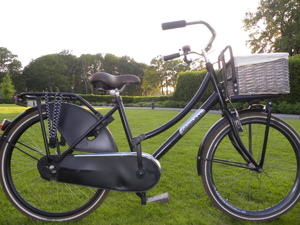 mooie 24'' popal meisjesfiets, Fietsen en Brommers, Fietsen | Meisjes, Ophalen, Terugtraprem, Handrem, Popal