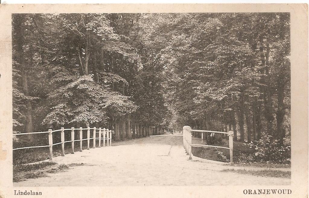 Oranjewoud, Lindelaan, Ophalen of Verzenden, 1920 tot 1940, Gelopen, Friesland
