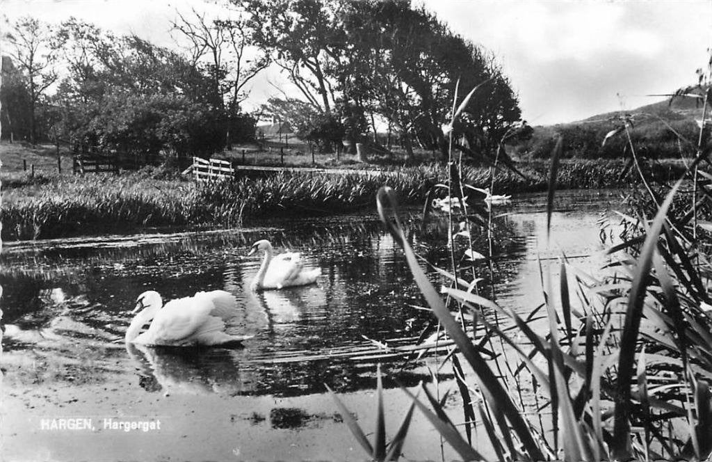 388-337-031 Hargen Hargergat, Verzenden, Voor 1920, Noord-Holland