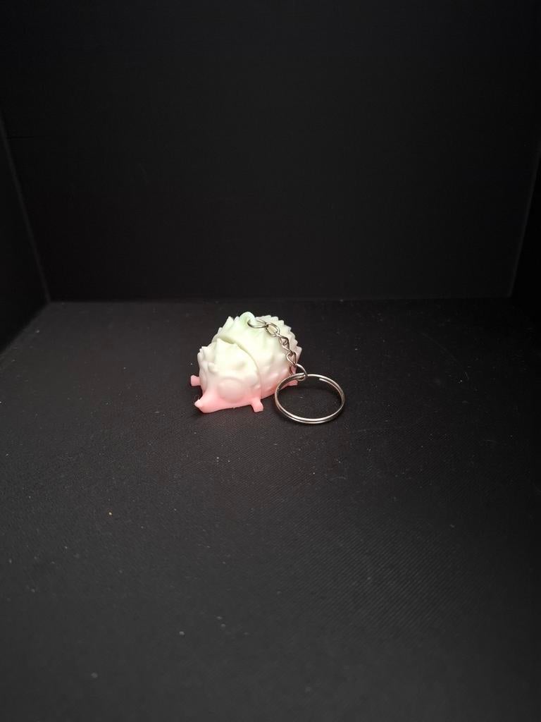 Flexi egel sleutelhanger, Ophalen of Verzenden, Nieuw, Dier of Natuur