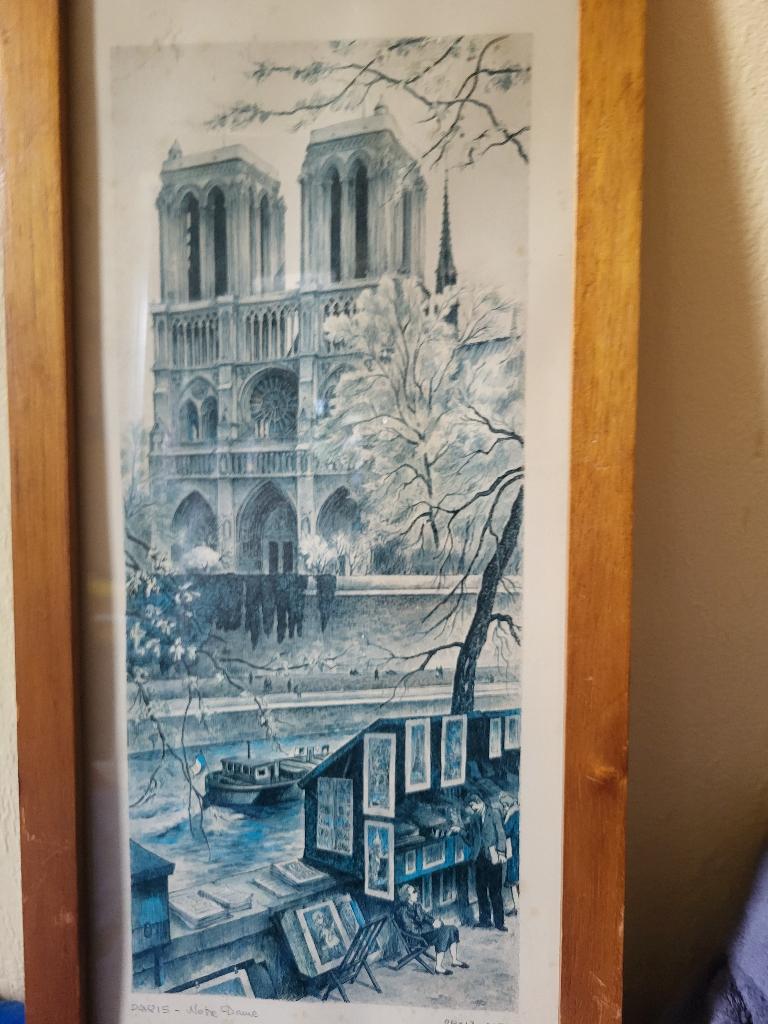 Boekenkramen bij Notre-Dame, Antiek en Kunst, Ophalen of Verzenden
