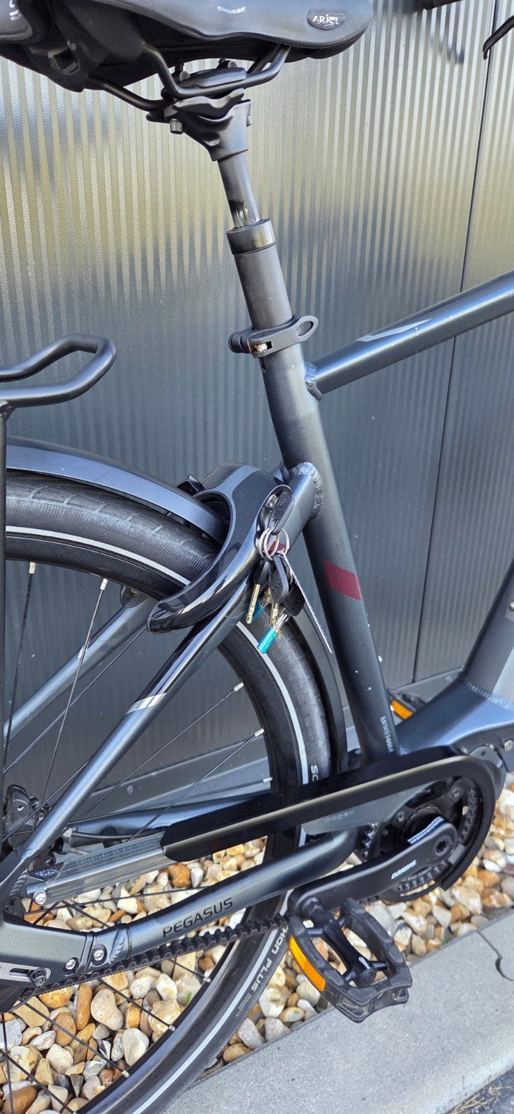 Mooie Pegasus Opero Evo 5 Di2 hybrid riem-aandrijving 750 Wh, 28 inch, Vering, Zo goed als nieuw, Meer dan 20 versnellingen