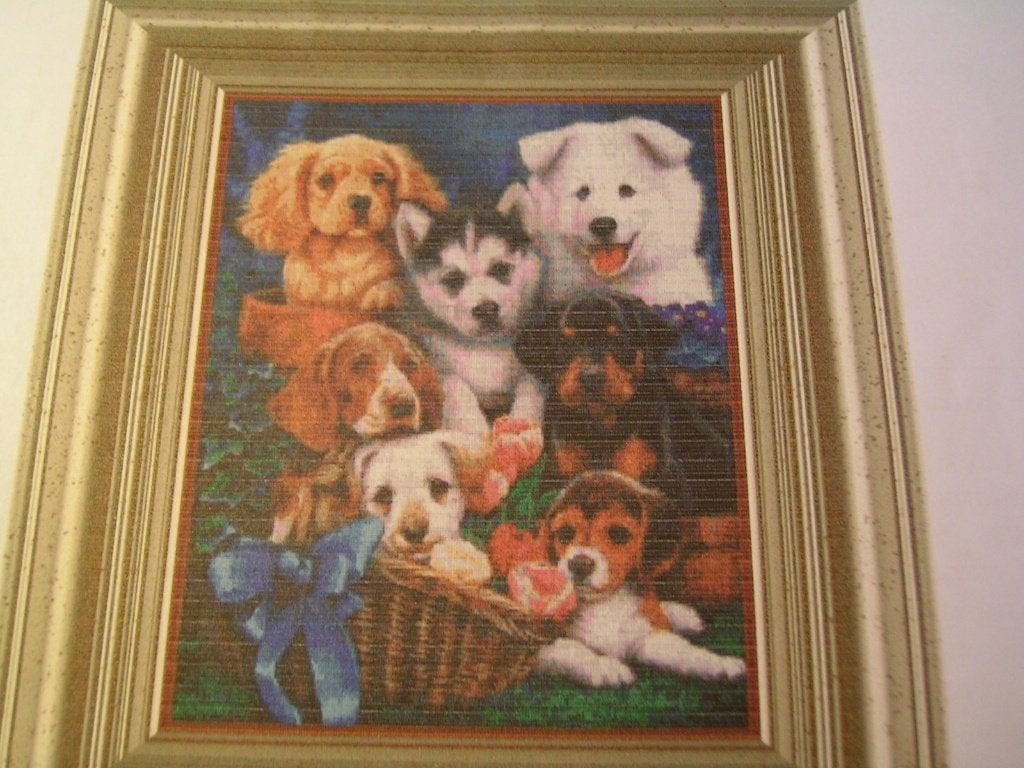 NIEUW ORIGINEEL patroon honden, met Aida en naald. Ook DMC, Ophalen of Verzenden, Nieuw, Handborduren, Patroon