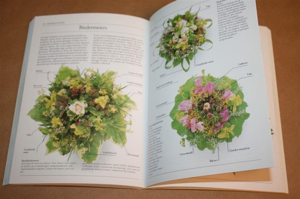 Kruiden - Sesam praktische encyclopedie, Boeken, Ophalen of Verzenden, Gelezen, Azië en Oosters