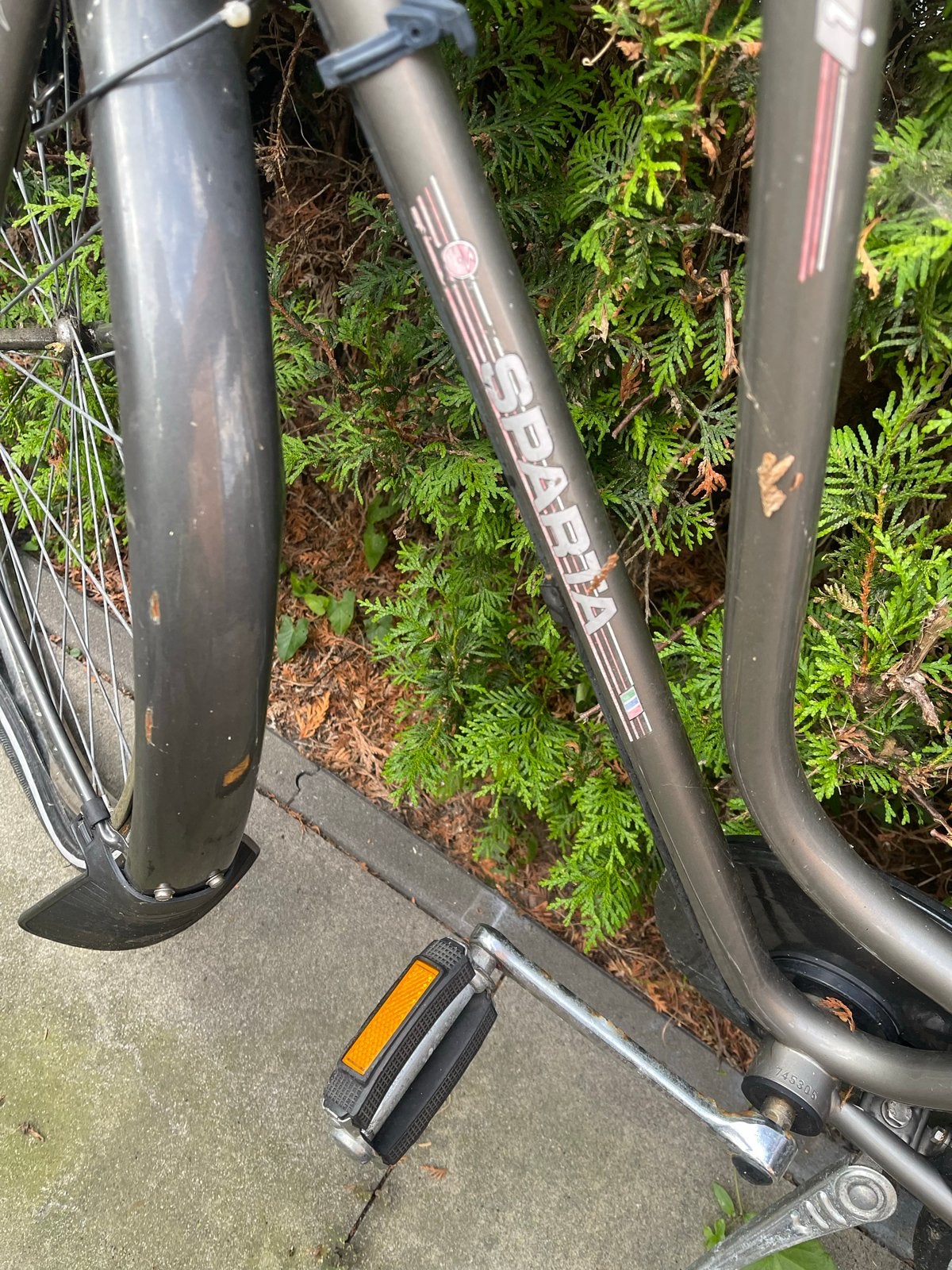 3 fietsen te koop, Ophalen, Terugtraprem, Sparta, 53 tot 56 cm