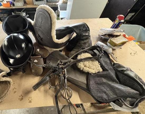 Paardenspullen te koop, Ophalen of Verzenden, Gebruikt, Overige soorten