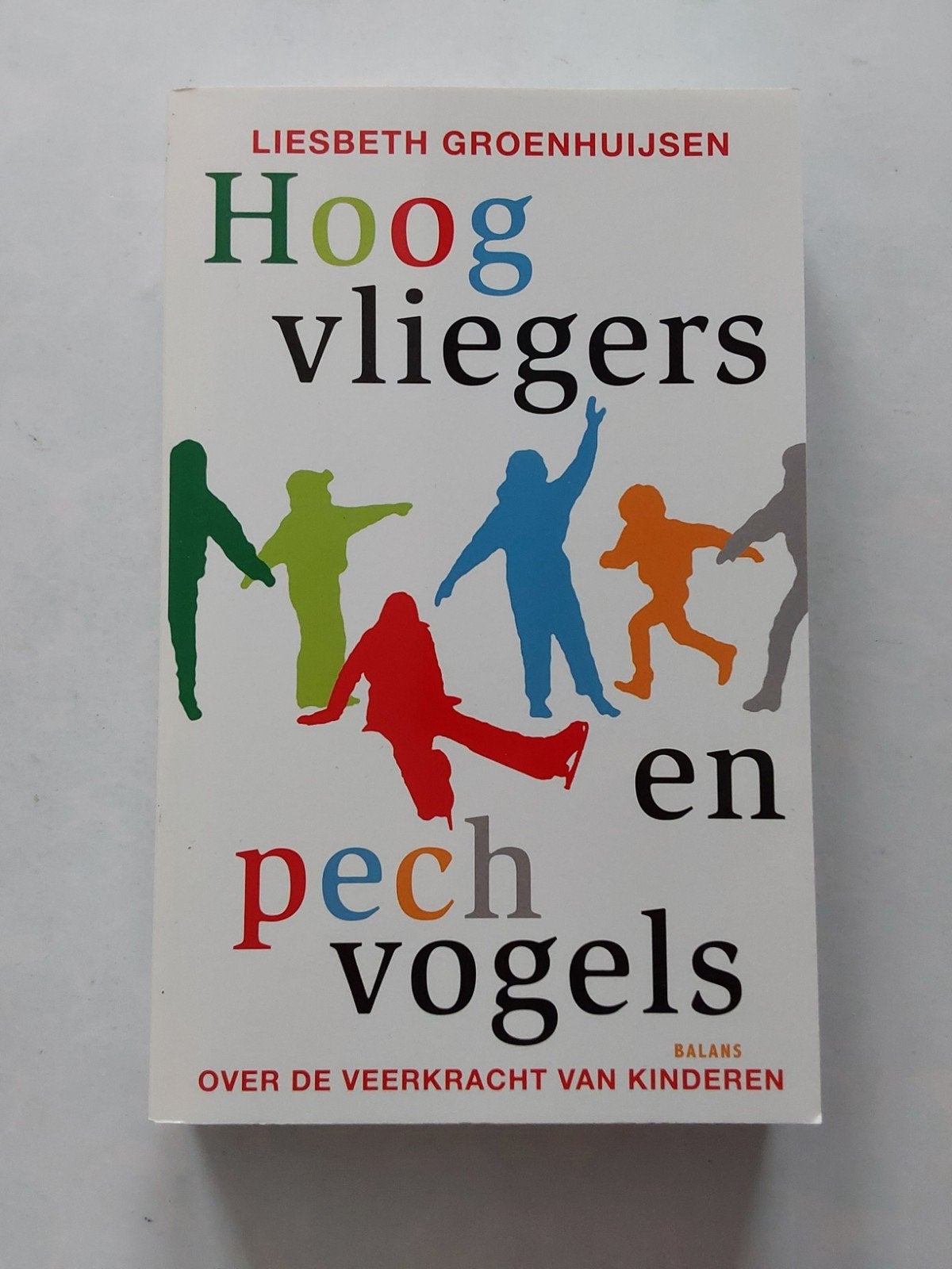 Hoogvliegers en pechvogels / door Liesbeth Groenhuijsen 🆕️, Ophalen of Verzenden, Nieuw, Liesbeth Groenhuijsen