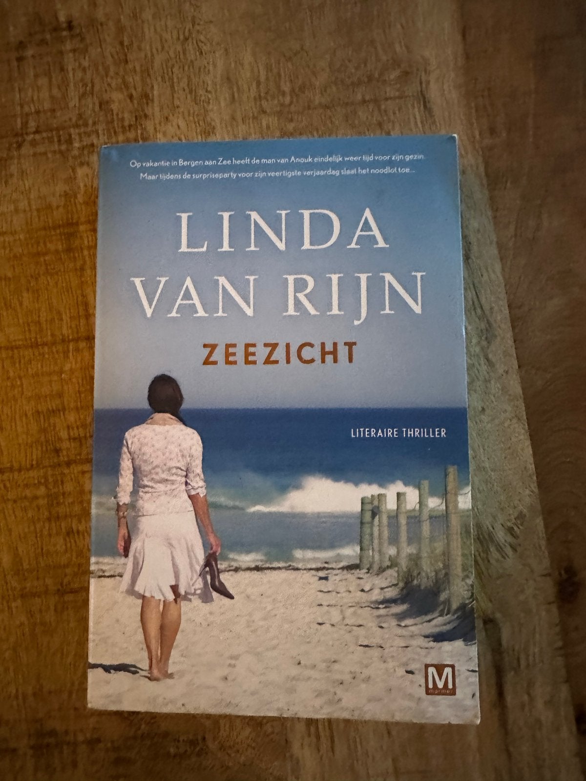 Linda van Rijn - Zeezicht (Literaire thriller), Ophalen of Verzenden, Zo goed als nieuw, Nederland