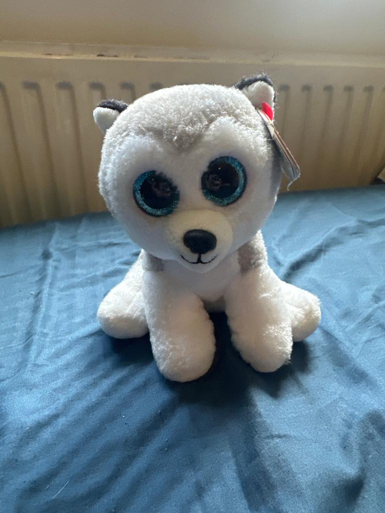Ty Beanie Boo Husky knuffel - Zo goed als nieuw, Grijs, Klein (minder dan 20 cm), Ty, Hond
