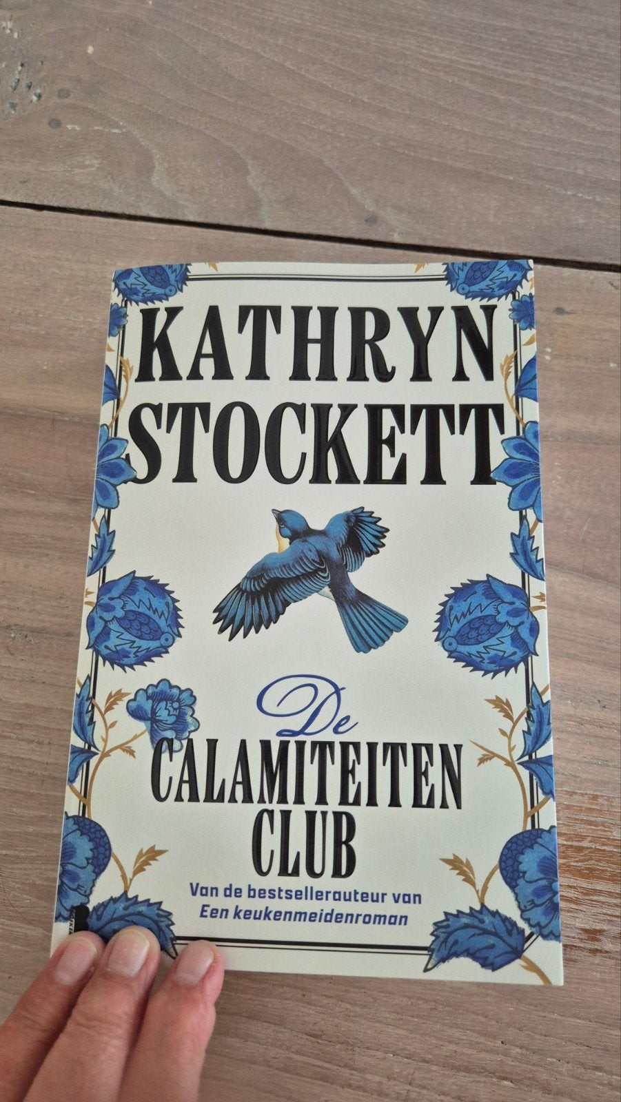 De Calamiteiten Club - Kathryn Stockett (Zo goed als nieuw), Boeken, Ophalen, Zo goed als nieuw, Kathryn Stockett, Amerika