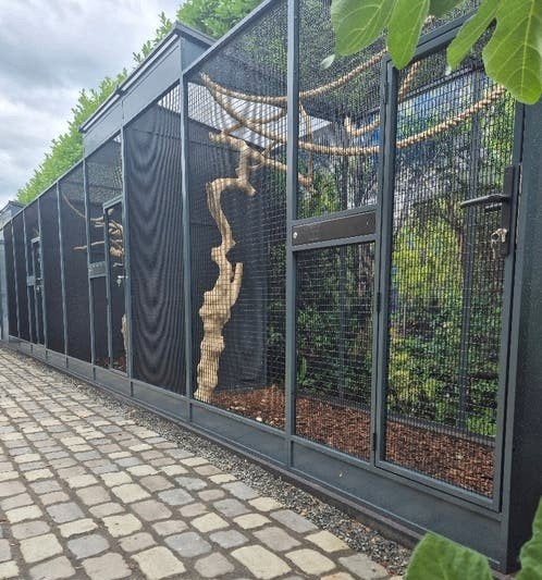 De betere volière begint bij Fauna Housing - Uniek 6 Kleuren, Meerdere dieren