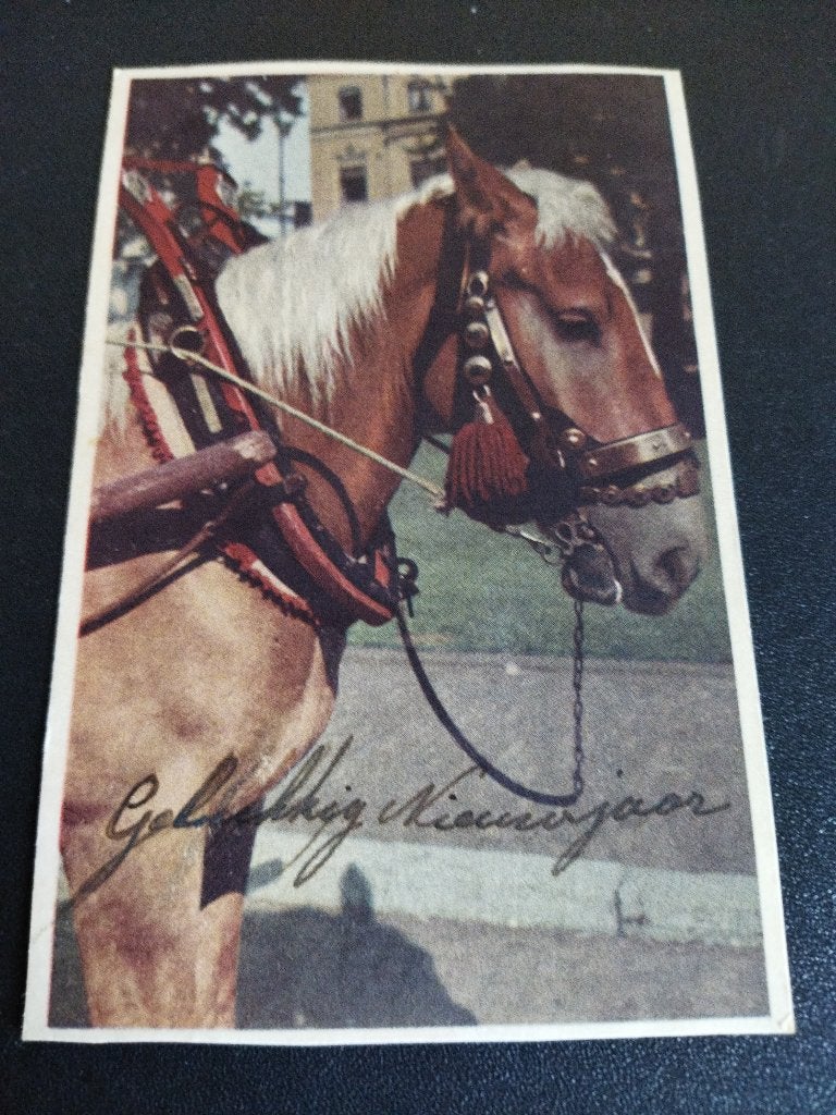 Vintage ansichtkaart Gelukkig Nieuwjaar paard, Ophalen of Verzenden, 1940 tot 1960, Gelopen, Feest(dag)
