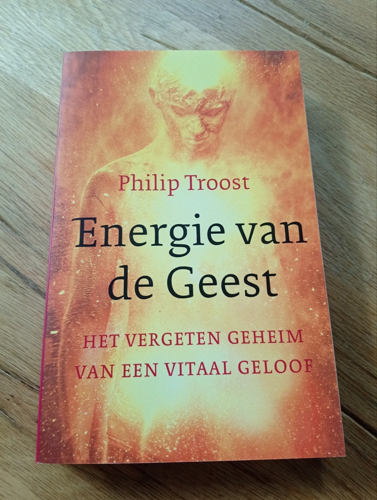 Energie van de Geest - Philip Troost, Boeken, Philip Troost, Achtergrond en Informatie, Spiritualiteit algemeen, Ophalen of Verzenden