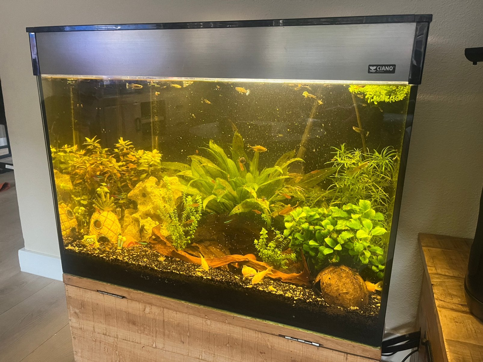 Compleet aquarium met externe pomp en accesoires met vissen., Ophalen, Zo goed als nieuw, Gevuld zoetwateraquarium
