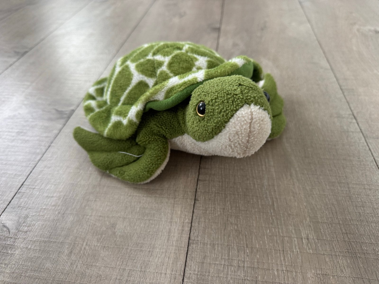 Leuke groene schildpad knuffel van Freek Vonk, Groen, Overige merken, Overige karakters, Overige typen