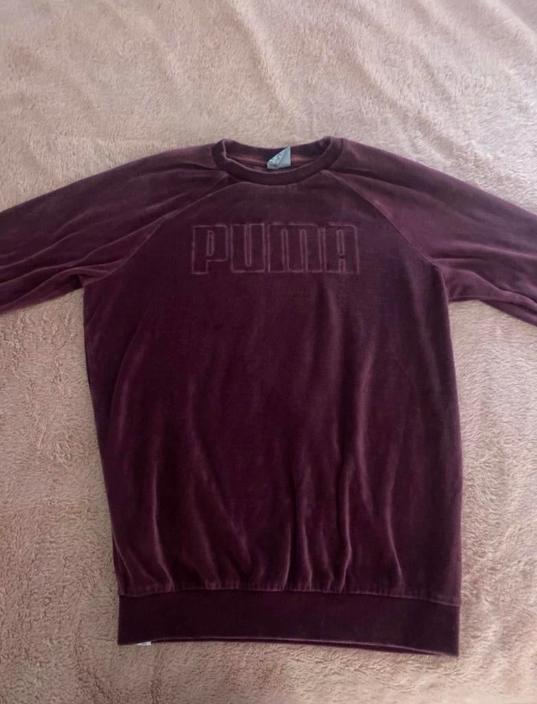Bordeaux puma trui S, Verzenden, Zo goed als nieuw, Maat 36 (S), Rood