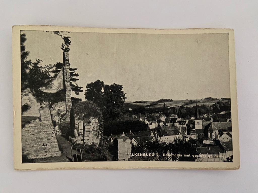 Valkenburg Panorama met gezicht op Ruïne, Ophalen of Verzenden, 1940 tot 1960, Gelopen, Limburg