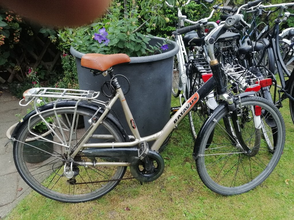 Nette Batavus Damesfiets met versnell, Ophalen, Gebruikt, Batavus, Versnellingen