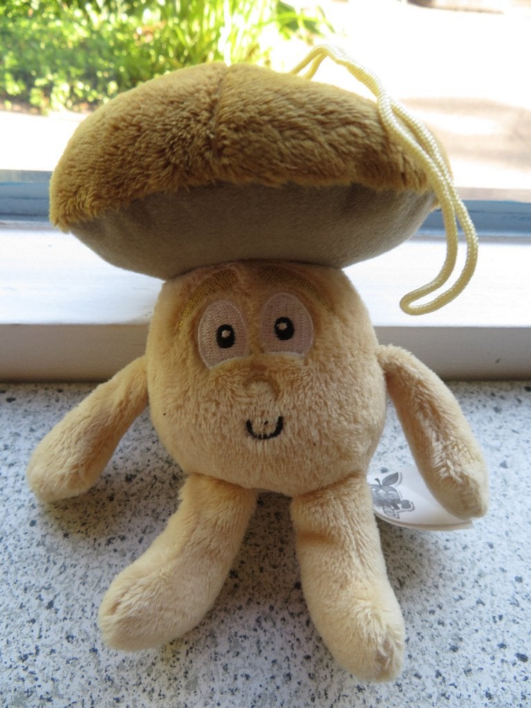 Chanti Champignon van Lidl paddenstoel knuffel zacht velours, Lidl, Overige typen, Ophalen of Verzenden, Zo goed als nieuw