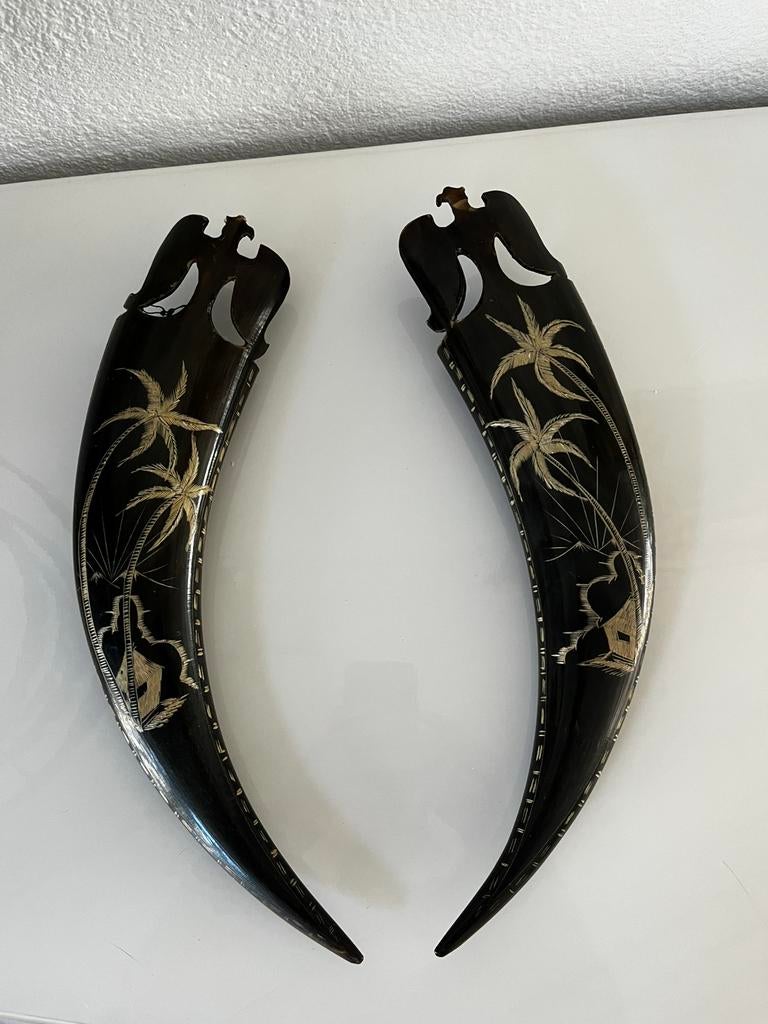 Wanddecoratie, set van 2, buffelhoorn, Ophalen of Verzenden