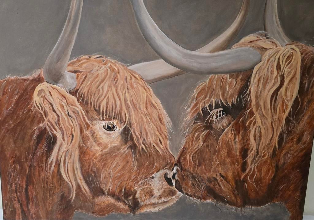 Prachtig Schilderij van Schotse Hooglanders, Ophalen