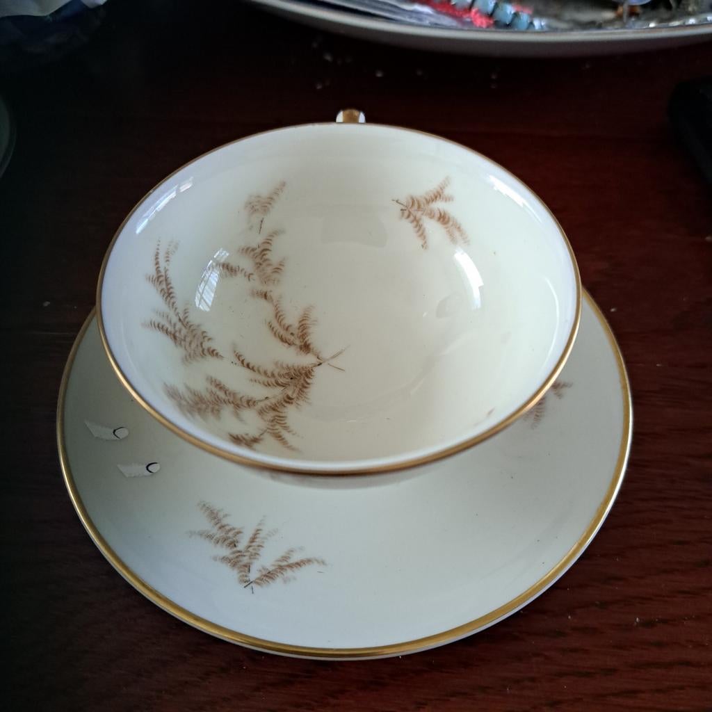 Vintage Thomas Germany Kop en Schotel - Goudkleurige Rand, Huis en Inrichting, Keuken | Servies, Gebruikt, Ophalen of Verzenden
