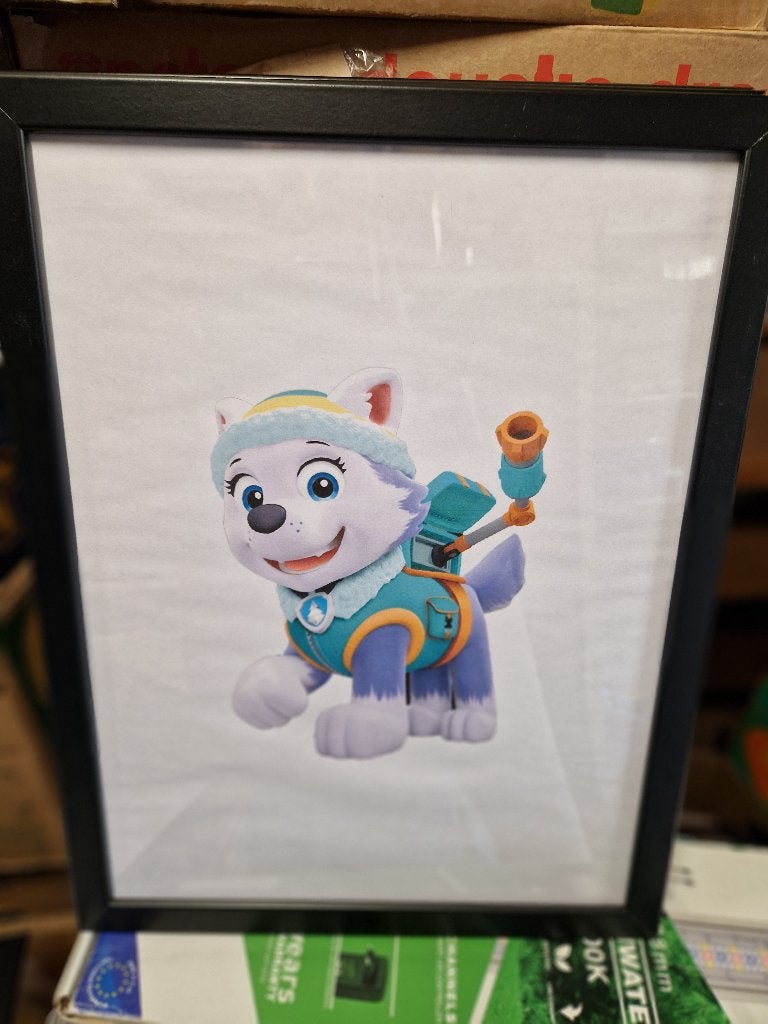 Paw Patrol ingelijste prints - Everest, Ryder, Chase, Ophalen, Gebruikt