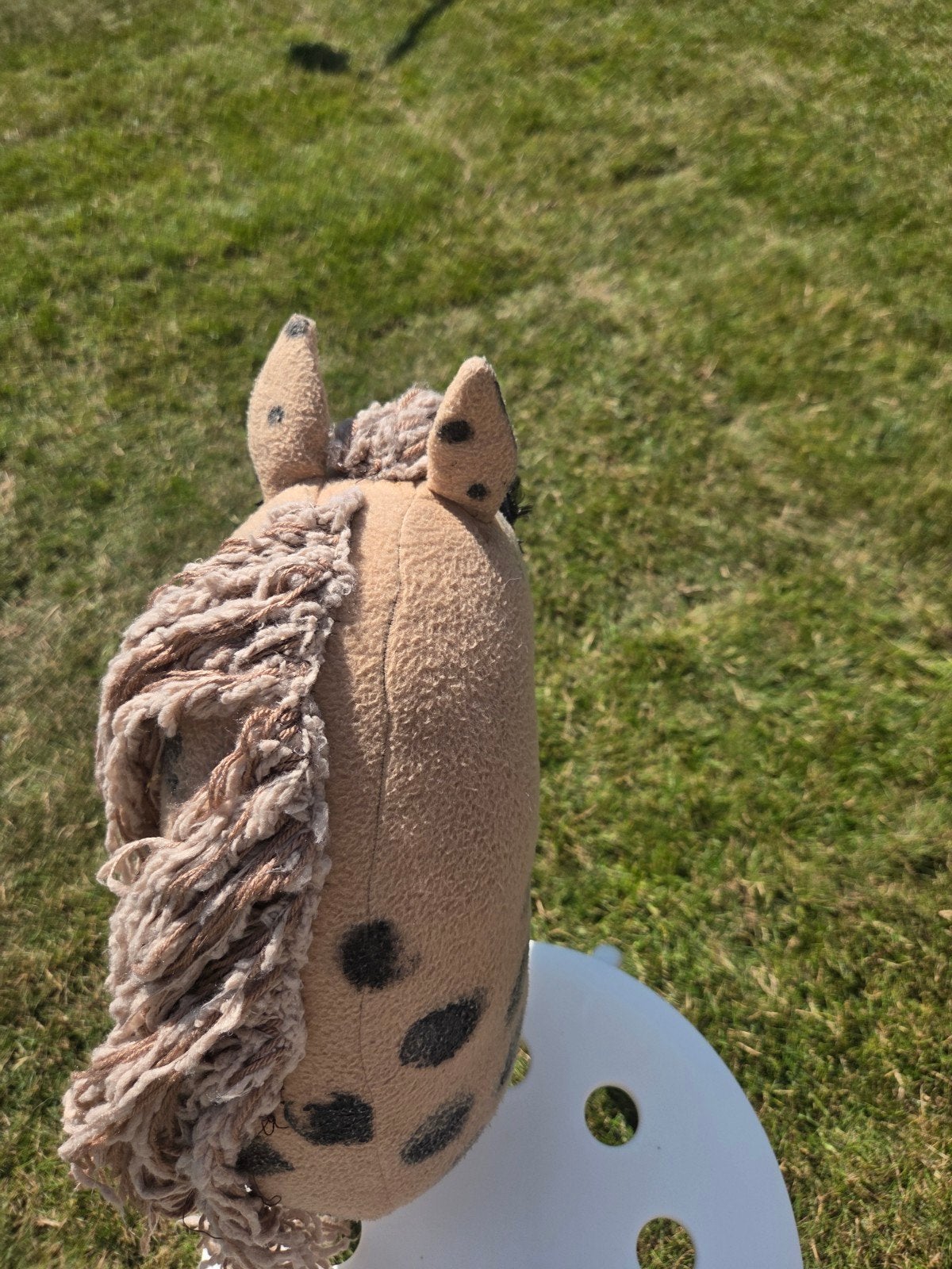 Prachtige Hobby Horse met Glazen Ogen en Stipels, Ophalen of Verzenden, Gebruikt, Jongen of Meisje