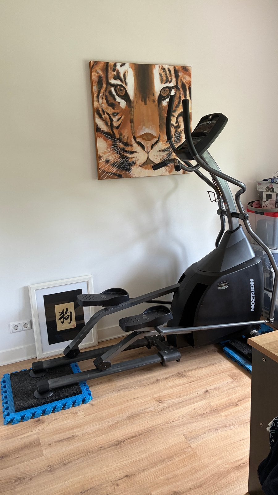 Horizon crosstrainer, Ophalen of Verzenden, Gebruikt, Crosstrainer