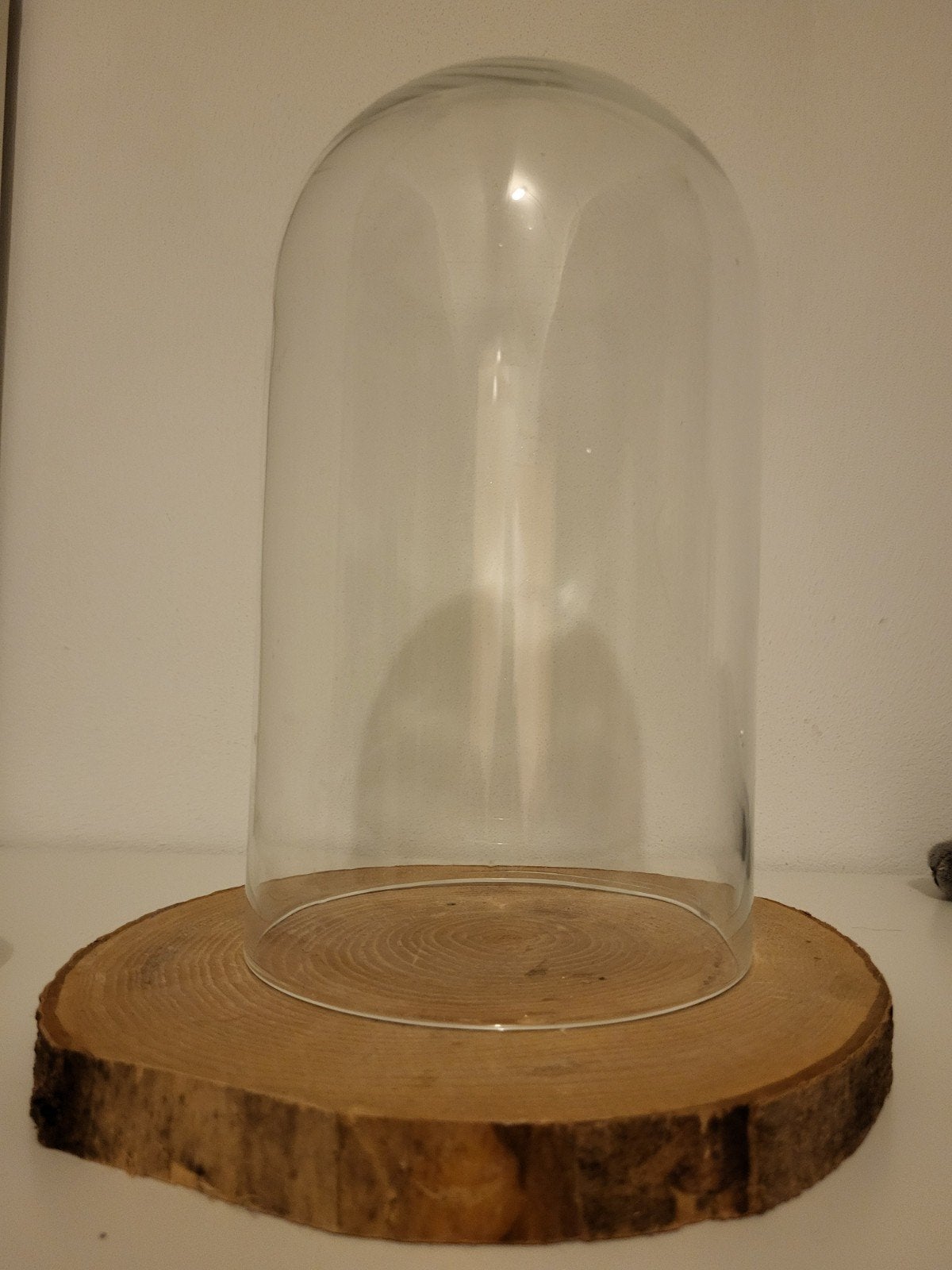 Glazen stolp met houten schijf - Decoratief, Ophalen, Glas, Bruin, Landelijk