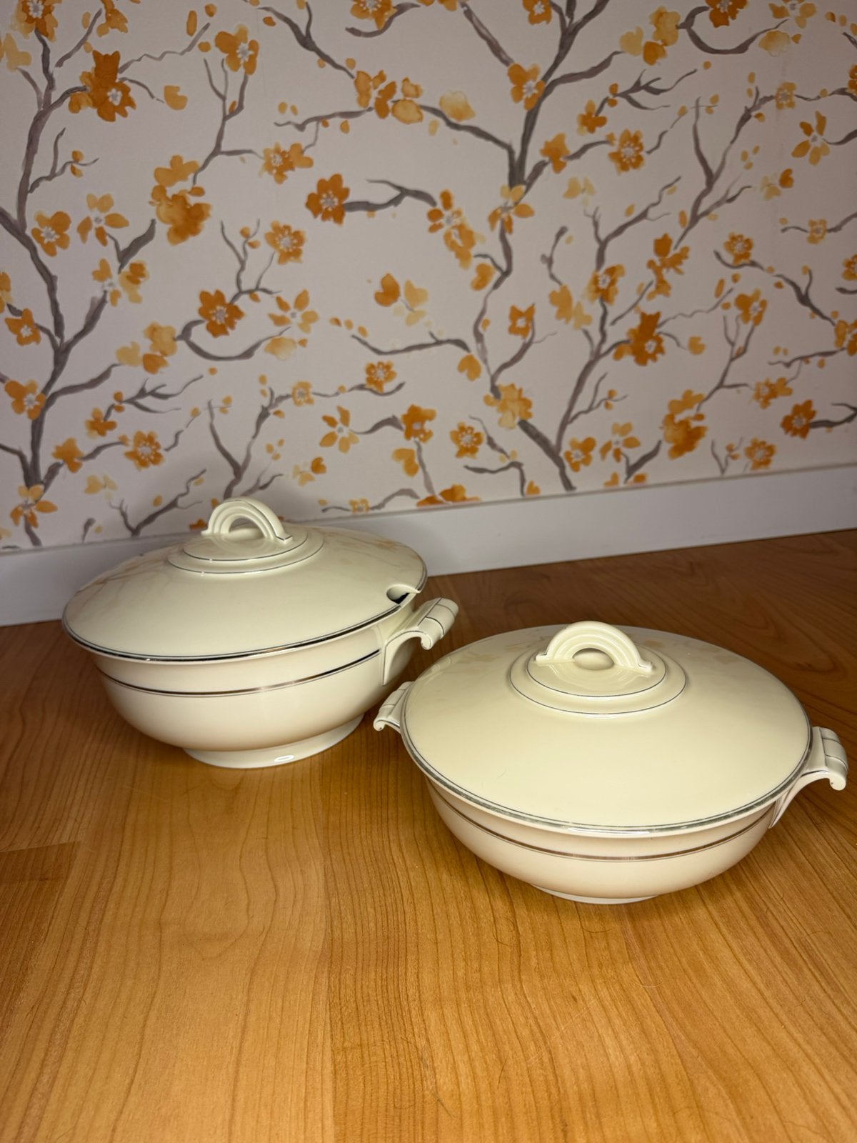 2 vintage Arzberg Bavaria terrines 4719 met deksel, Antiek en Kunst, Ophalen of Verzenden