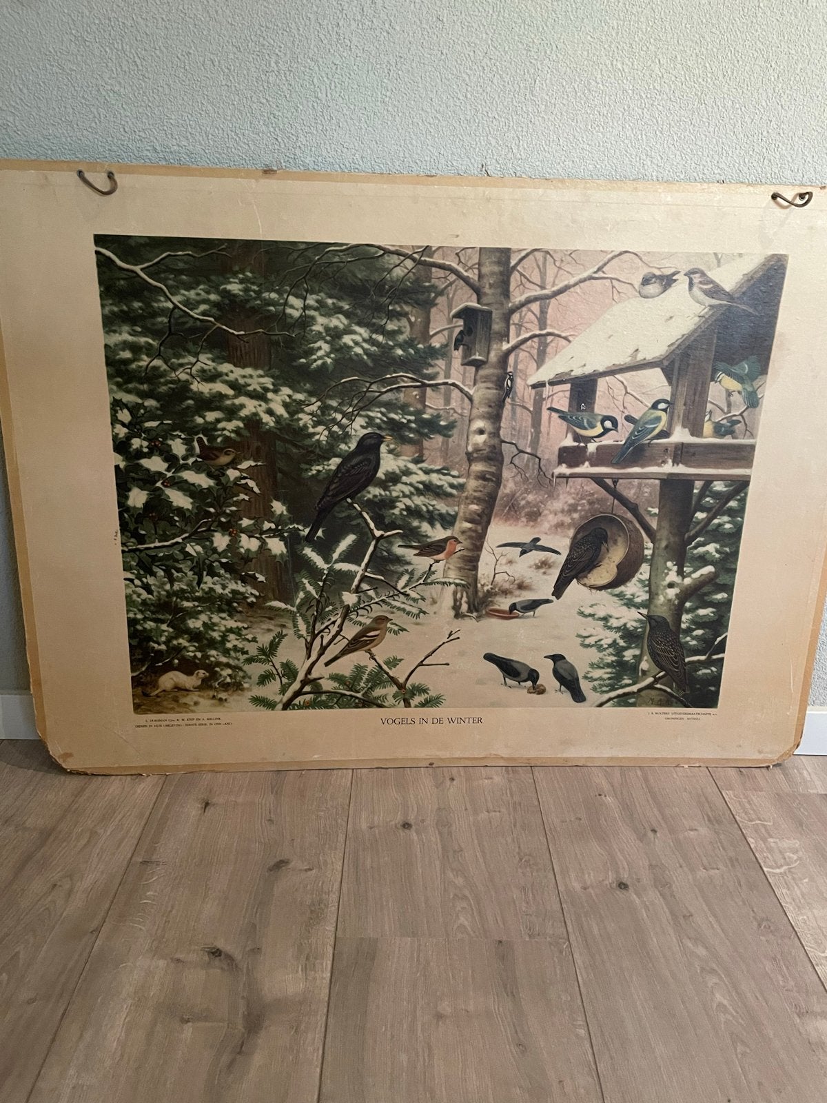 Vintage schoolplaat 'Vogels in de Winter' en 'Vleermuis', Ophalen, Natuur en Biologie