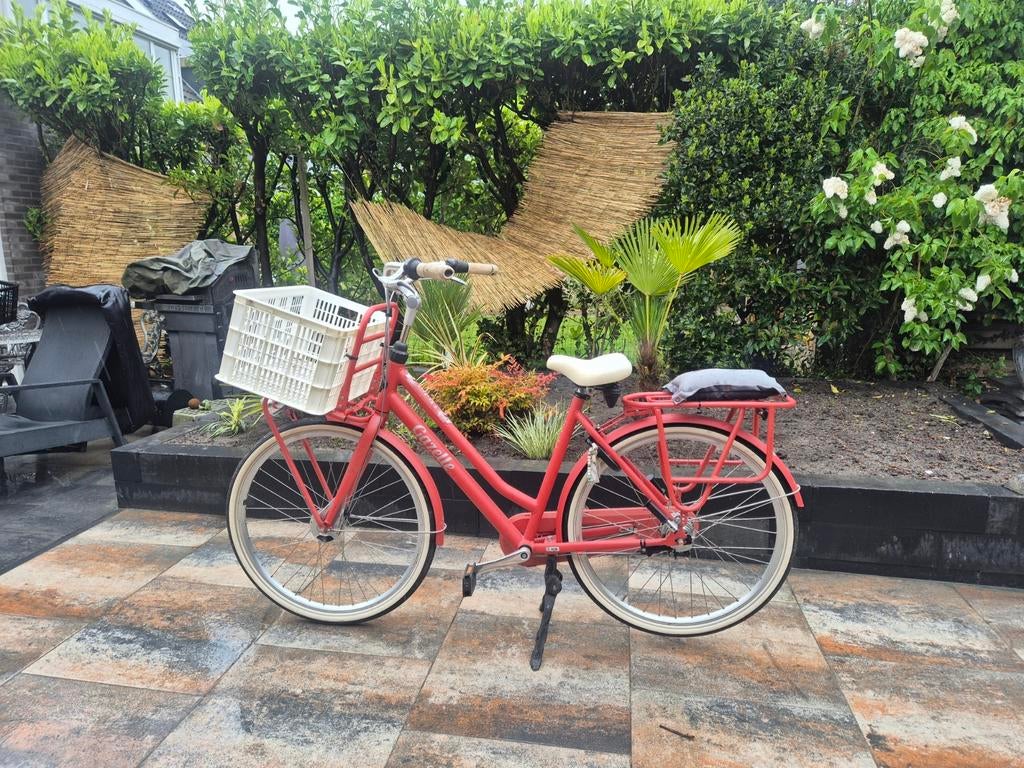 Gazelle miss Grace, Ophalen, 53 tot 56 cm, Versnellingen, Zo goed als nieuw