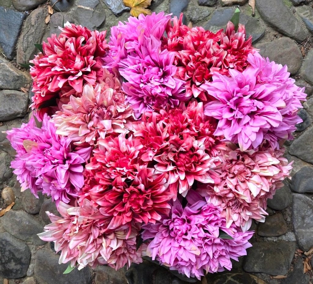 BOEKETJE - KUNST - DAHLIA - 3 KLEUREN, Ophalen of Verzenden, Nieuw