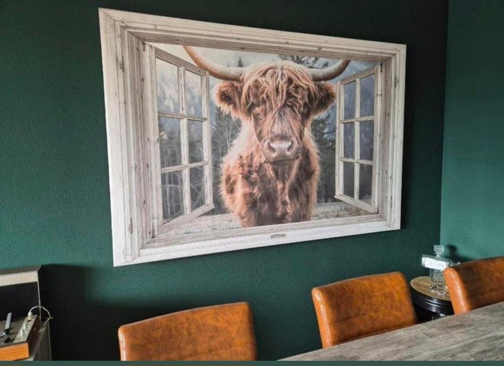 Canvas Schilderij Schotse Hooglander in raamkozijn. XXXL., Huis en Inrichting, Woonaccessoires | Wanddecoraties, Ophalen, Schilderij