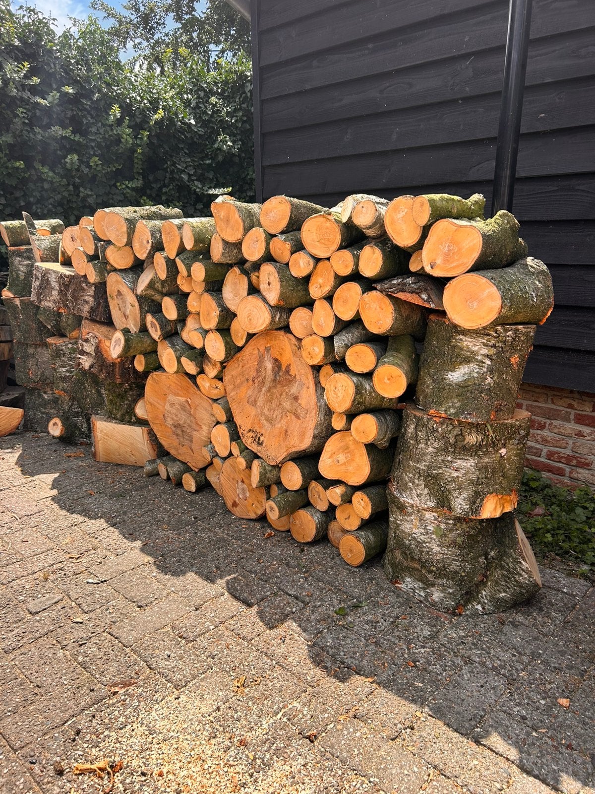 Haardhout Berk, Tuin en Terras, Haardhout, Minder dan 3 m³, Ophalen of Verzenden