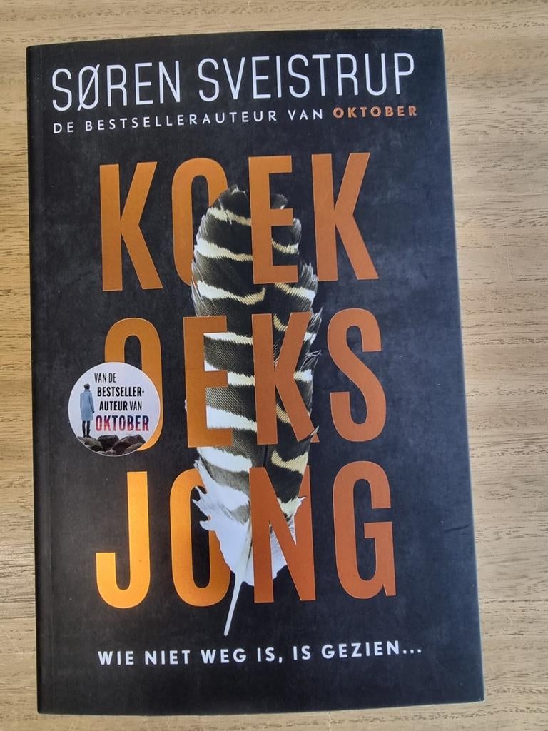 Diverse boeken verkoop, Verzenden, Søren Sveistrup, Zo goed als nieuw
