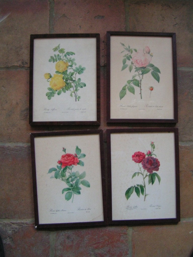 4 redouté schilderijen nr XX 333, Verzenden, Minder dan 50 cm, Schilderij