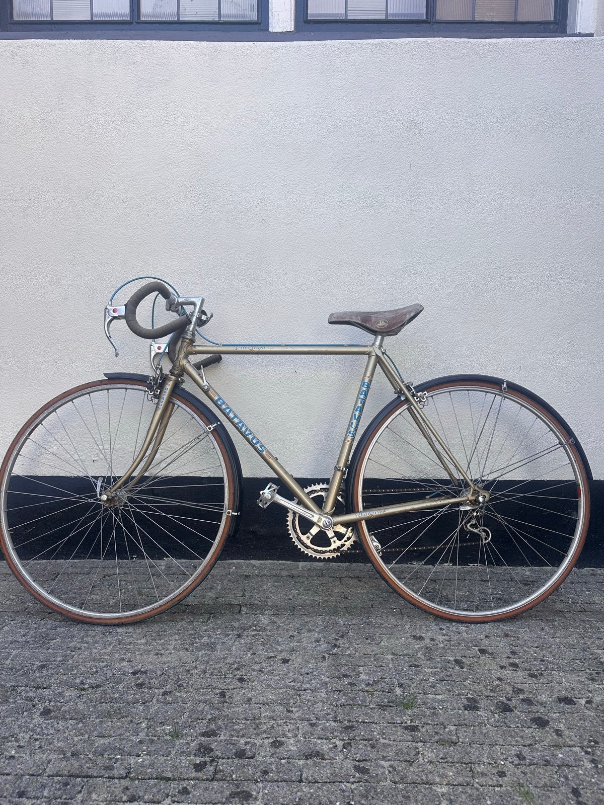 Batavus criterium met spatbord, Fietsen en Brommers, Ophalen, 28 inch, Gebruikt, 10 tot 15 versnellingen