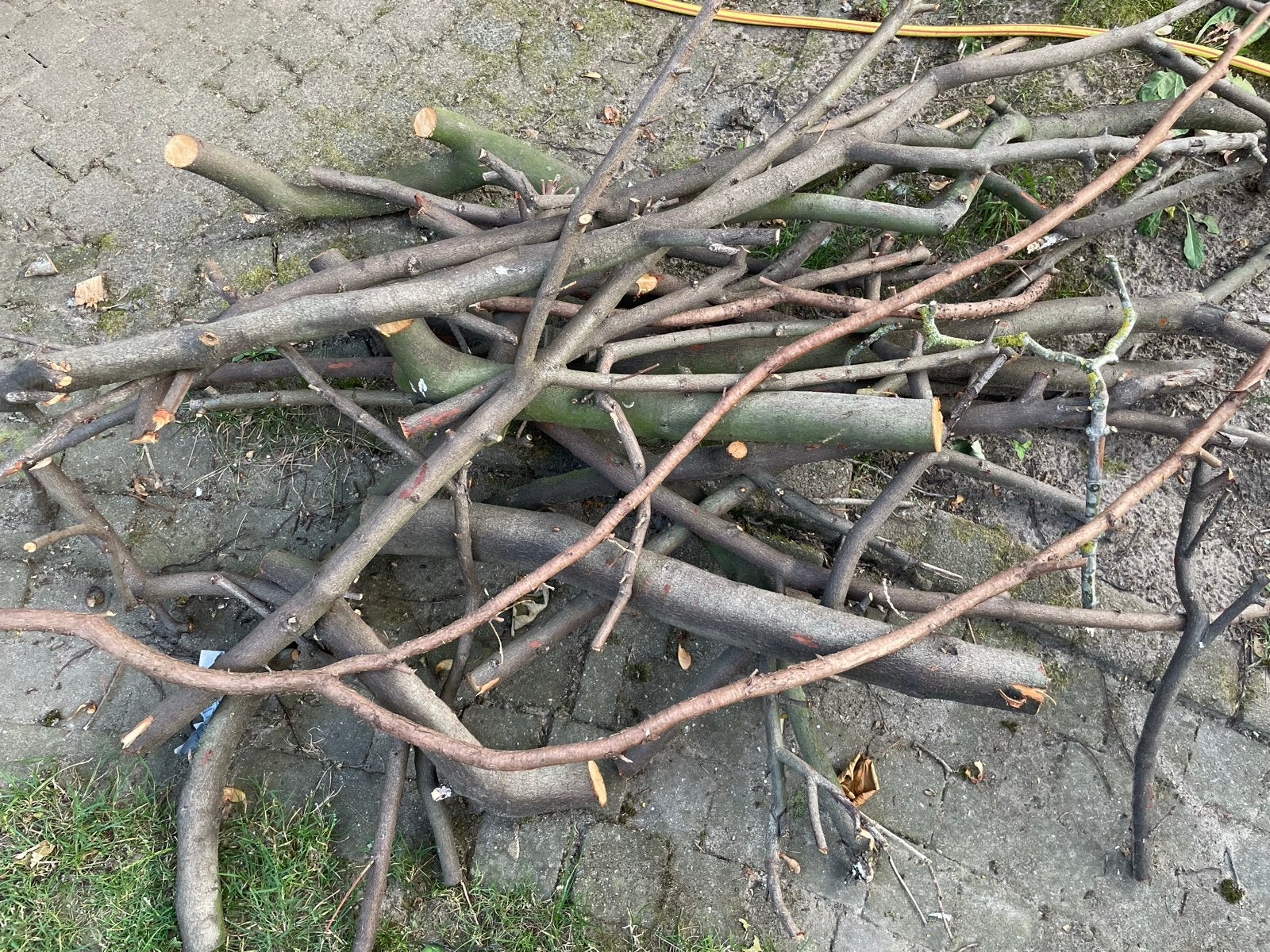 Takken voor brandhout of decoratie, Minder dan 3 m³, Ophalen, Overige houtsoorten, Takken
