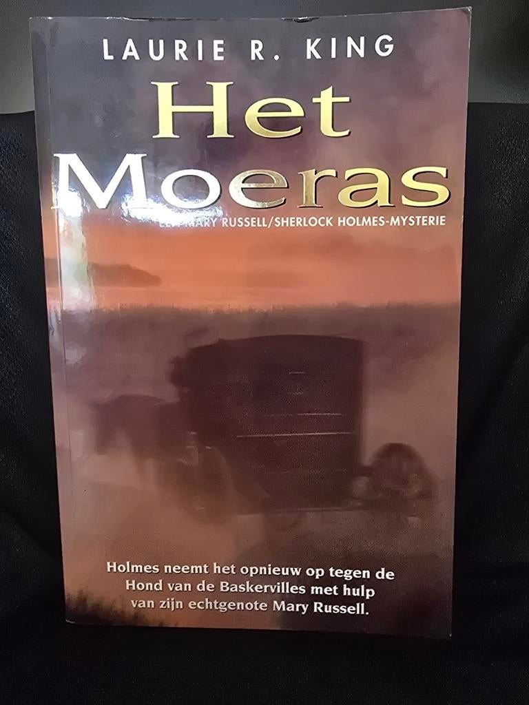 Het Moeras - Laurie R. King, Boeken, Romans, Zo goed als nieuw, Nederland, Ophalen of Verzenden