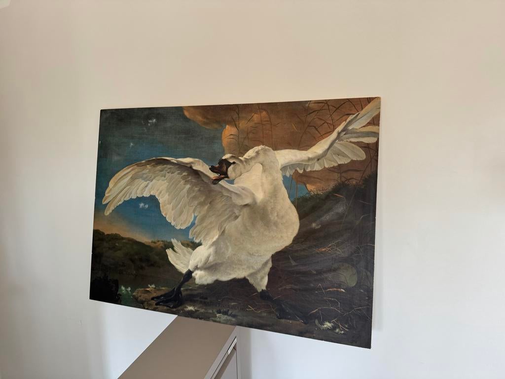 Schilderij 'De Bedreigde Zwaan' op paneel, 50x70 cm, Antiek en Kunst, Kunst | Schilderijen | Klassiek, Ophalen